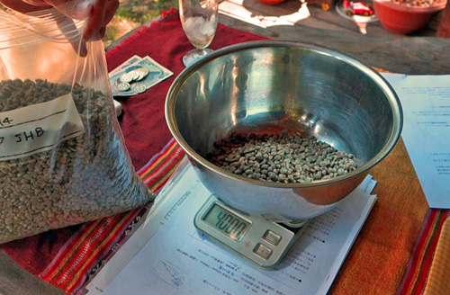 珈琲生豆の計量。ここでは400グラム